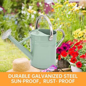 Arrosoir en métal vintage pour plantes d'extérieur et jardinage - Product Image 2