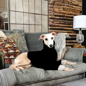 Pull d'hiver pour chien Motif solide Pliant Design simple pour chiens de petite à grande taille avec col et manches de jambe (8 tailles) - Product Image 1