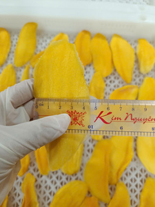 Palitos de Mango Seco Suave de 10-15 cm / Mango Seco Suave de Vietnam con Etiqueta Personalizada, Empaque a Granel de 5 kg para Fabricantes de Alimentos - Product Image 1