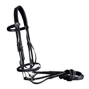 Brida de Carreras Biothan 100% PVC con Riendas y Martingala a Juego, Hecha de PVC de Alta Calidad, Muy Fácil de Limpiar y Mantener - Product Image 1