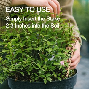 Piquets d'antenne de jardin en cuivre pur pour l'électroculture, pour légumes et fleurs, de fabricant et fournisseur indien - Product Image 4