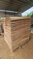 Vietnam Eucalyptus Rotary Cut Veneer Sheets 1270x640mm Natural Wood Grain for Core Plywood Construction Panels-Durable