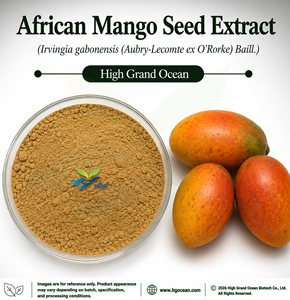 HGO Factory Direct Supply African Mango <b>Seed</b> Extract (Irvingia gabonensis) Food Grade Ratio 4:1 5:1 10:1 20:1 100:1 200:1 - Product Image 1