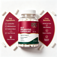 Capsules Énergétiques Probiotiques OEM Formule 10-en-1 Gestion Intestinale Adulte 90 Capsules/Flacon Services Marque Blanche Fournisseur Or