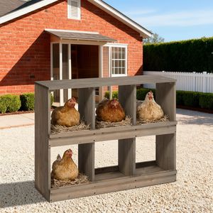 Nidi per Galline Tipo H in Legno con 6 Scomparti per Deposizione Uova, per Galline, Polli e Anatre, Grigio, Nuovo - Product Image 4