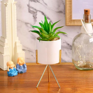 Metal Flower Vase Planter <b>Pot</b> with Iron Stand, <b>Pots</b> for Plants, Plant <b>Pots</b> for Home Decoration, <b>Succulent</b> <b>Pot</b>, Indoor Planter - Product Image 5