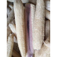 Luffa entière séchée brute pour découpe sur mesure et fabrication d'éponges |   Luffa naturelle cultivée à la maison