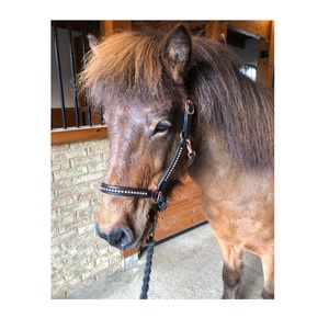 Cabestro de caballo de cuero portátil duradero de diseño personalizado con logotipo personalizado y color disponible para uso ecuestre - Product Image 1