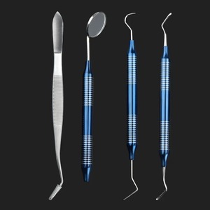 Kit de Limpieza Bucal Dental de 4 Piezas, Raspador, Espejo, Removedor de Placa, Acero Inoxidable, Herramienta de Desinfección a Alta Temperatura - Product Image 1