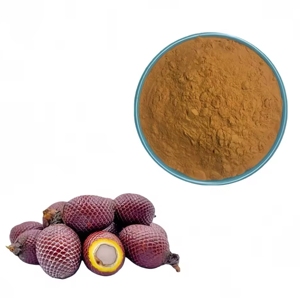 Fournisseur en gros de poudre d'Aguaje de qualité supérieure, 100% pure et naturelle, issue de la Mauritia Flexuosa d'Inde - Product Image 3