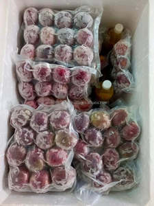 Jus de fruit de la passion congelé de haute qualité avec ou sans pépins, entier/demi-coupé, exportateur en gros Vietnam - Product Image 3