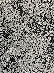 ข้าวขาวเมล็ดยาว [Keith Vilaconic] ข้าวแตก 5% สำหรับส่งออกจำนวนมาก |   ข้าวไรซ์ บลैंक คุณภาพเมล็ดยาว - Product Image 2