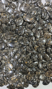 LOT EN GROS DE 5 KG UNIQUEMENT À 755 $ - CABOCHONS DE FOSILES DE TURRITELLA, PIERRES PRÉCIEUSES SÉLÉQUIES, TAILLES ET FORMES ASSORTIES, LIVRAISON GRATUITE - Product Image 2