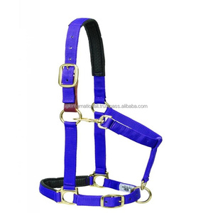 Cabestro ajustable estilo australiano para caballo inglés, rojo, azul, negro, hecho de nailon y PVC con accesorios niquelados. - Product Image 4