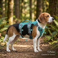 Collier Réfléchissant Durable Anti-Traction pour Chien, Harnais Rembourré Doux en Maille Respirante en Nylon, Poignée de Contrôle Facile, Tailles Moyenne et Grande