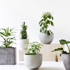 Vente en gros Nouveau pot de fleurs en céramique émaillée HG 13-1409/3 Fournitures de jardin Décorations pour pot de fleurs à planter pour la maison - Product Image 5