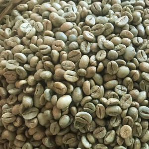 Café Vert Biologique Arabica du Vietnam Grade AA+ Noir Brisure 0,1% Haute Qualité Certifié ISO 22000 Marque TNFOOD Vente en Gros - Product Image 1