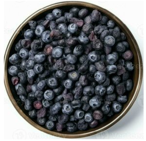 Tranches de Myrtilles Biologiques Lyophilisées Comestibles (FD) en Vrac, Sous Vide, Croustillantes, Acidulées, pour Snacks, Smoothies, Pâtisseries et Céréales - Product Image 1