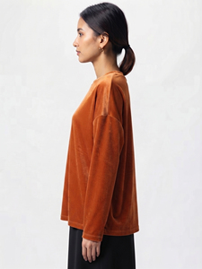 T-shirt en velours à manches longues pour femme, doux, confortable, col rond, uni, couleur unie, qualité supérieure, mode d'hiver - Product Image 4