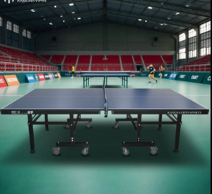 Table de tennis de table professionnelle pour l'entraînement et les loisirs - Product Image 1