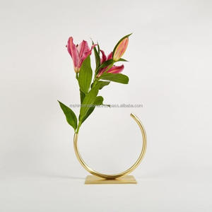 Jarrón de cristal de hierro de Metal simple y creativo, adornos para el hogar, decoración de mesa de sala de estar, arreglos florales - Product Image 3