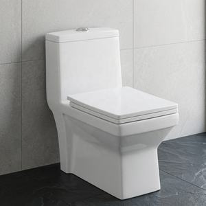 WC monobloc en céramique haut de gamme avec compatibilité S-trap et P-trap pour projets résidentiels - Product Image 2