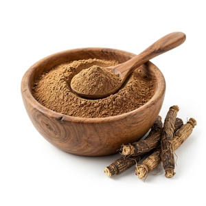 Cichorium intybus Zichorienwurzelpulver Getrocknetes Wurzelpulver für Großhandelskunden - Product Image 1