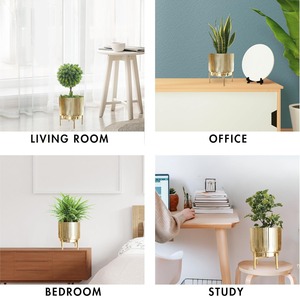 Macetero decorativo con acabado dorado y soporte, ideal para la decoración de entradas de eventos, balcones, hoteles y resorts, procedente de la India. - Product Image 6