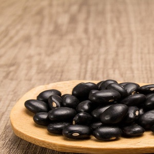 100% Top Grade Bulk Wholesale Black Kidney <b>Beans</b> Dried 25kg High Quality 2 Year Shelf Life - Product Image 5