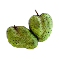 Vers Soursop fruit