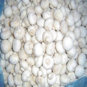 Champiñones Frescos y Blancos Congelados para Procesamiento de Alimentos Premium, Suministro para Restaurantes y Distribución Mayorista Confiable - Product Image 4
