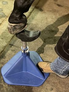 Adjustable Heavy Duty Horse Hoof Stand Metal Farrier Hoofjack with Cradle Post for Hoof Trimming, <b>Shoeing</b> Care CE ISO Certified - Product Image 4