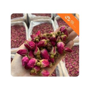 [BEST SELLING] l Dried Rose Bud Tea for Floral Tea Preparation and Daily Beverage Consumption Vietnam - Product Image 1