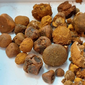 Cálculos Biliares de Buey 100% Naturales de Alta Calidad, Grado Superior, Tipo Vesical, Origen Abeja, para Aplicaciones Alimentarias - Product Image 1