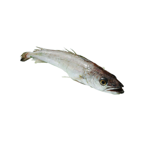 Poisson Hake Congelé pour la Vente au Détail et l'Approvisionnement des Supermarchés - Product Image 5