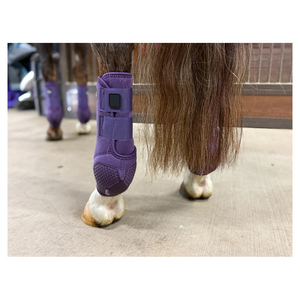 Botas Protectoras de Neopreno para Tendones de Caballo, Accesorios Ecuestres Premium para Exteriores, Botas Deportivas para Patas de Caballo, Botas de Inyección para Caballos - Product Image 2