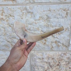 Shofar en corne de bœuf naturelle de haute qualité pour la fête de Rosh Hashanah, artisanat casher Hs Husnain, poli, toucher réel - Product Image 1