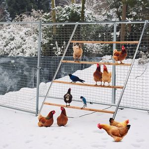 104*143cm Outdoor Chicken Perch Animal Cage for Chickens Easy to Set up and Use - Product Image 2