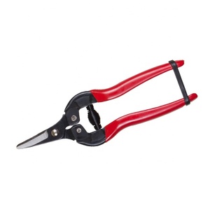 [อายุที่มีประโยชน์]-กรรไกรตัดปลายโค้ง (GN0504-062) - Product Image 1