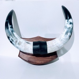 Juego de Cuernos de Toro Montados, Ecológicos, Hechos a Mano, Rústicos, Modernos, con Diseño Animal, Cuernos Pulidos, Decoración del Hogar Estilo Western, Pascua - Product Image 4