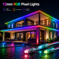 Guirlandes lumineuses LED intelligentes à pixels RGB de 12 mm, adressables, WS2811, étanches IP67, pour l'extérieur, Noël et événements