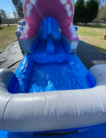 Toboggan aquatique gonflable commercial double en forme de requin avec piscine pour fêtes, certifié CE, garantie 3 ans, capacité 500 personnes