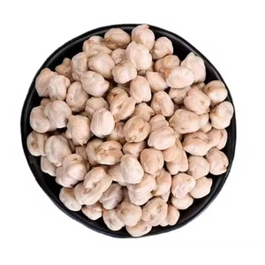 Garbanzos Comunes Secos Cuidadosamente Seleccionados, Ofrecidos con Estándares de Empaque Confiables y Procesamiento Natural para Mercados de Importación - Product Image 6