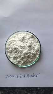 Poudre de graisse d'huile de coco séchée par pulvérisation, qualité alimentaire supérieure, fût HDPE 25 kg, fabrication Inde, exportateur - Product Image 1
