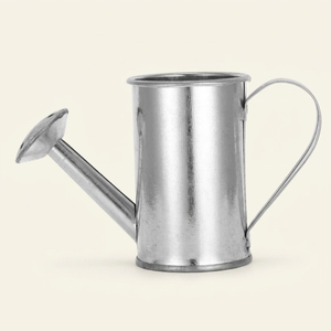 Vintage Classic Style Decorative Metal Watering Can Rustproof Powder Coated Finish For Farmhouse Indoor & Outdoor <b>Garden</b> Decor - Product Image 2