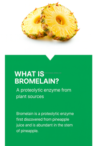 สารสกัดจากสมุนไพรโบรมีเลนเคอร์ซิตินจากเกาหลี - Product Image 3