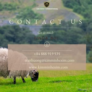 Gâteau de coprah blanc de qualité supérieure pour l'alimentation animale - Product Image 2