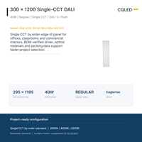 Panneau LED à éclairage périphérique 40W 300x1200mm, CCT unique, driver DALI-2 Eaglerise pour projets commerciaux