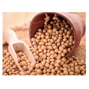 Soja en gros : Soja grillé salé et soja jaune non-OGM à bas prix - Product Image 1