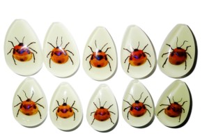 Cabujón de plástico con espécimen real de insecto floral, corte de pera, parte superior de 46x30 mm, base plana brillante para manualidades y fabricación de joyas - Product Image 4